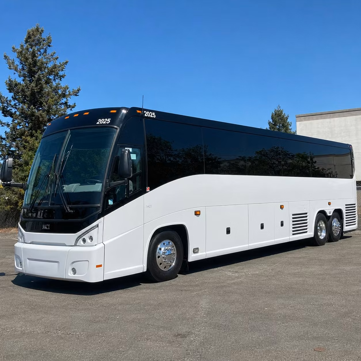 youth group and vbs transportation in st louis park